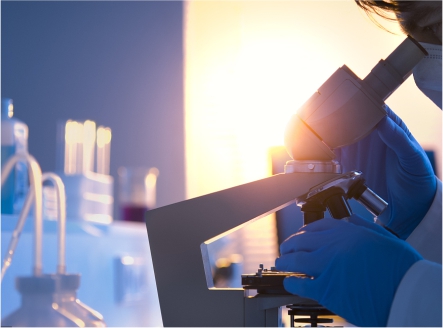 火狐体育新地址:东方电缆(603606)_股票在市场上生意的金额_行情_走势图—东方财富网